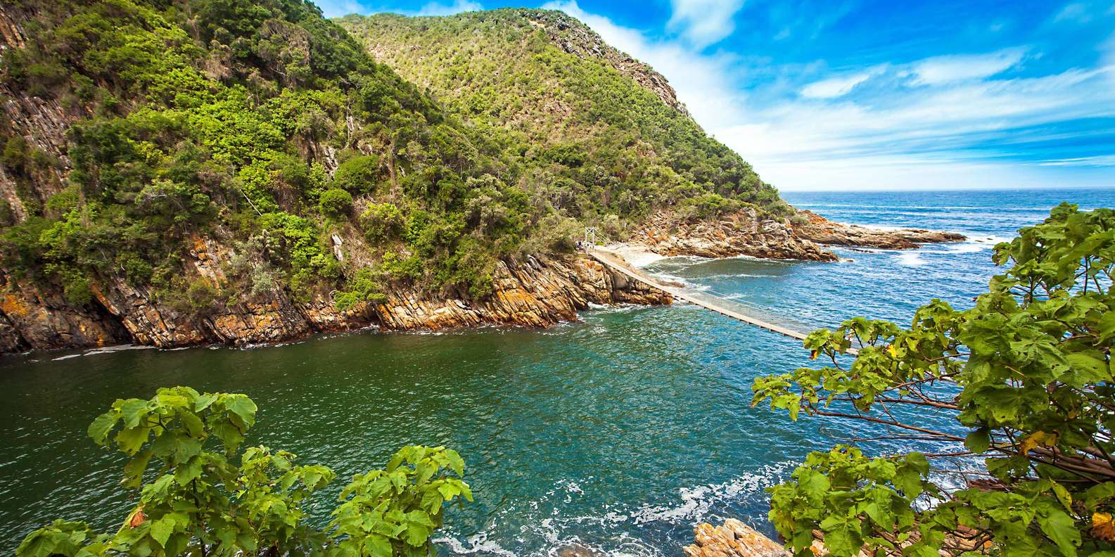 Day 7: Knysna - Tsitsikamma National Park - Knysna
